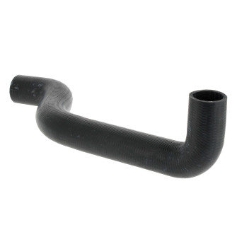 Durite supérieure de radiateur pour C25, J5 (XM7T, XN1T)