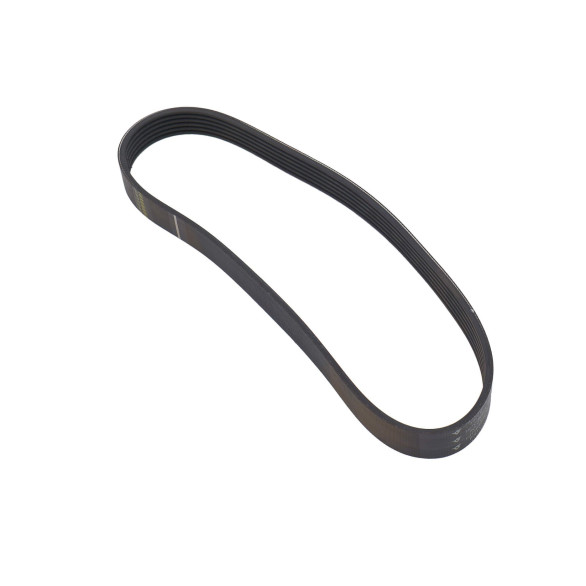 Courroie dynamo Poly V Citroën C15 1.9D